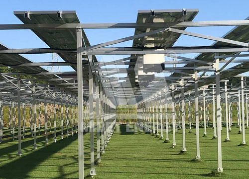 1MW Agriculture Photovoltaic System Project in Japan
